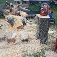 Slicing and Dicing Weeping Cherry